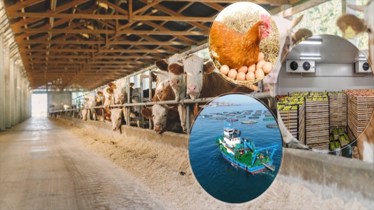 IPARD III Programı'nın 10'uncu başvuru çağrı ilanı yayımlandı