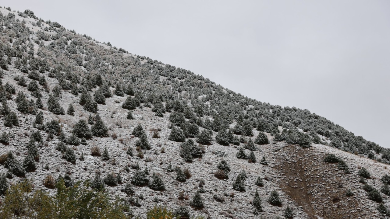 Bayburt, Rize ve Gümüşhane'nin yüksek kesimlerinde kar yağışı etkili oldu