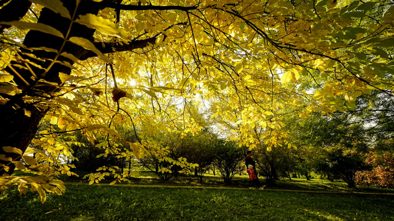 Saraybosna'da sonbahar renkleri