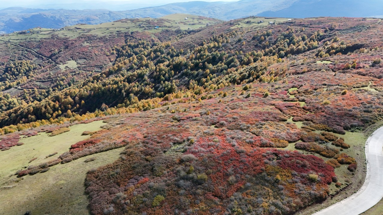 Ordu'da sonbaharın renkleri havadan görüntülendi