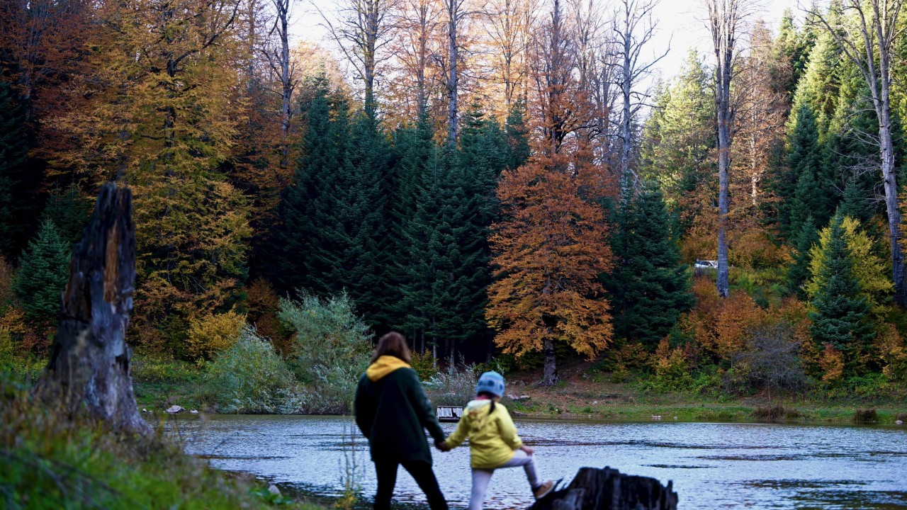 Düzce'nin Odayeri Yaylası ve Torkul Göleti, ziyaretçilerini sonbaharın renkleriyle ağırlıyor