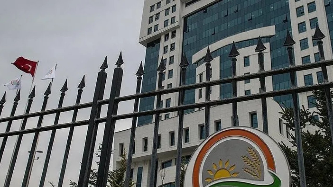 Doğa Koruma ve Milli Parklar Genel Müdürlüğü 13 sözleşmeli personel istihdam edecek