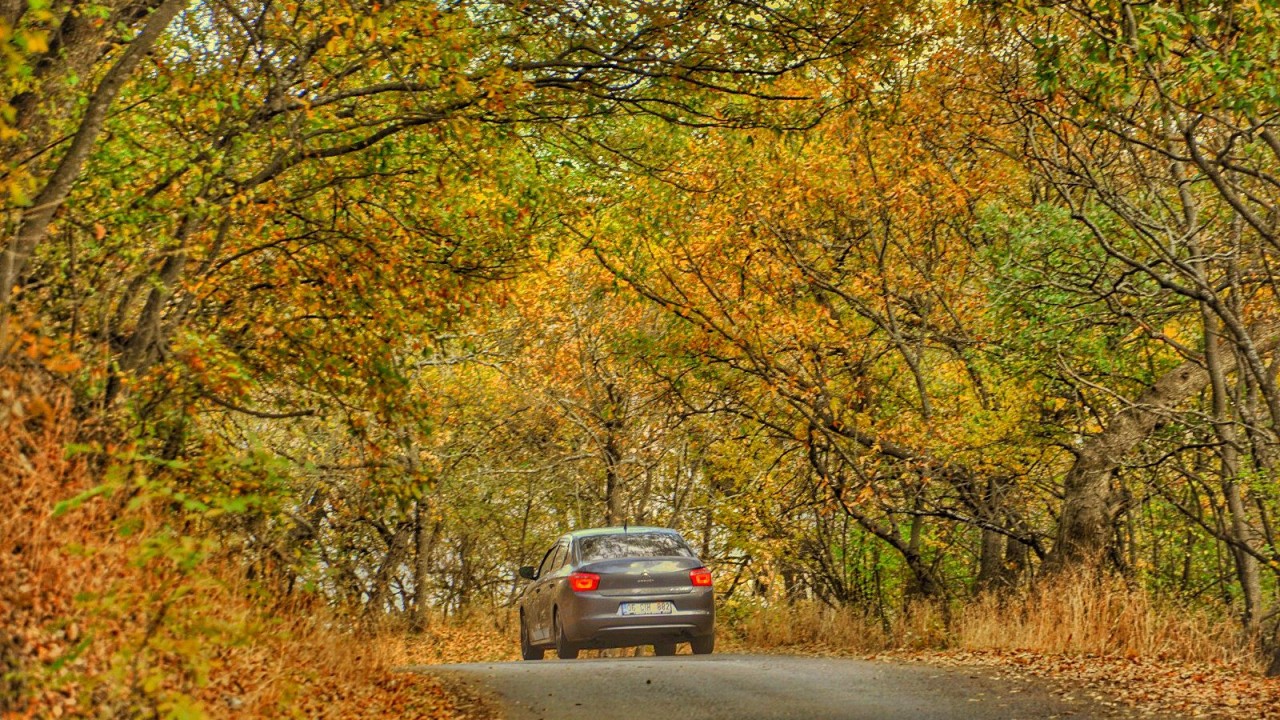 Bitlis'te Hizan ormanları hazan renklerine büründü