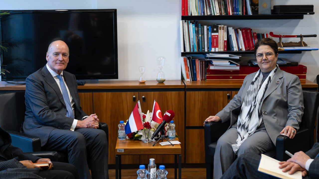 TBMM İnsan Haklarını İnceleme Komisyonu Başkanı Yanık Hollandalı Büyükelçi Geerts ile görüştü