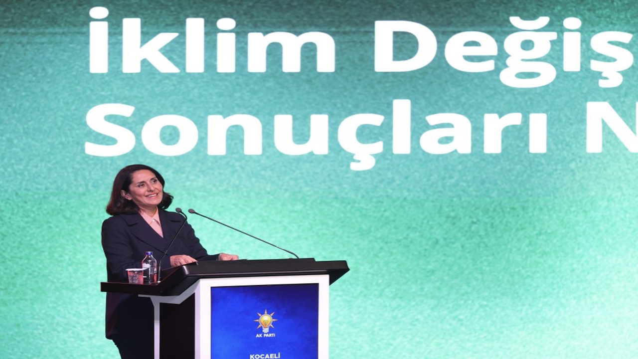 AK Parti Genel Başkan Yardımcısı Tuncer: İklim Kanunu, enerjide dışa bağımlılığı azaltacaktır