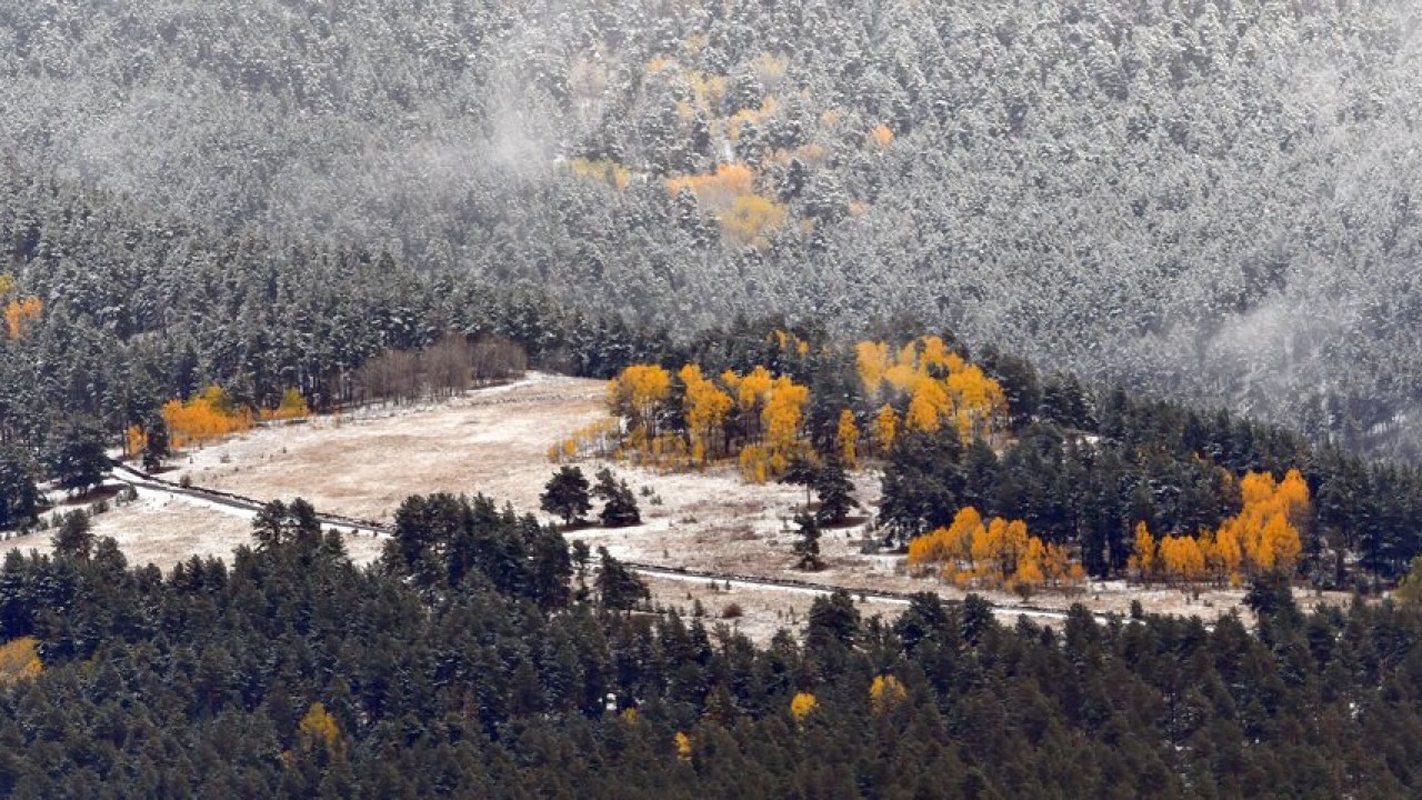 Kar ve sonbahar renklerinin bütünleştiği Sarıkamış'ta güzel manzaralar oluştu