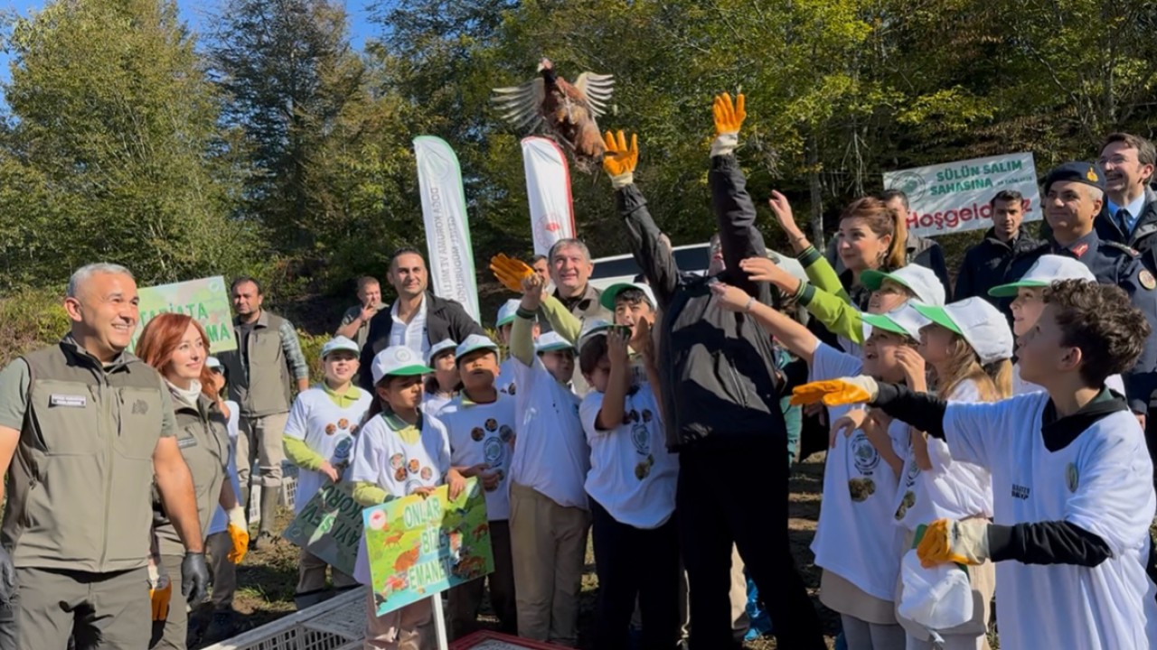 Bartın'da kahverengi kokarcayla mücadele kapsamında 250 sülün doğaya salındı