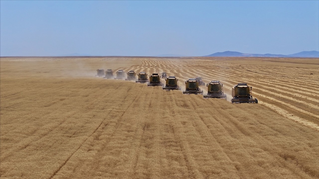 Bütçeden tarımsal desteklere 168 milyar lira ayrıldı