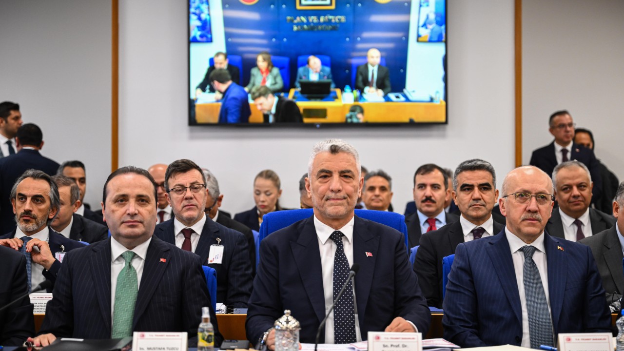 Bakan  Bolat: Dört ay üst üste cari işlemler fazlası vermiş olacağız