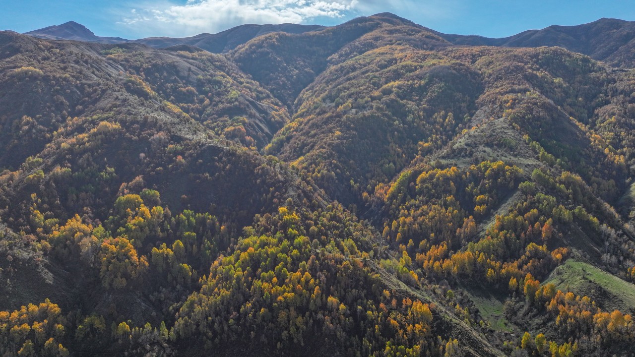 Diyarbakır'ın Kulp ilçesindeki sonbahar renkleri dronla görüntülendi