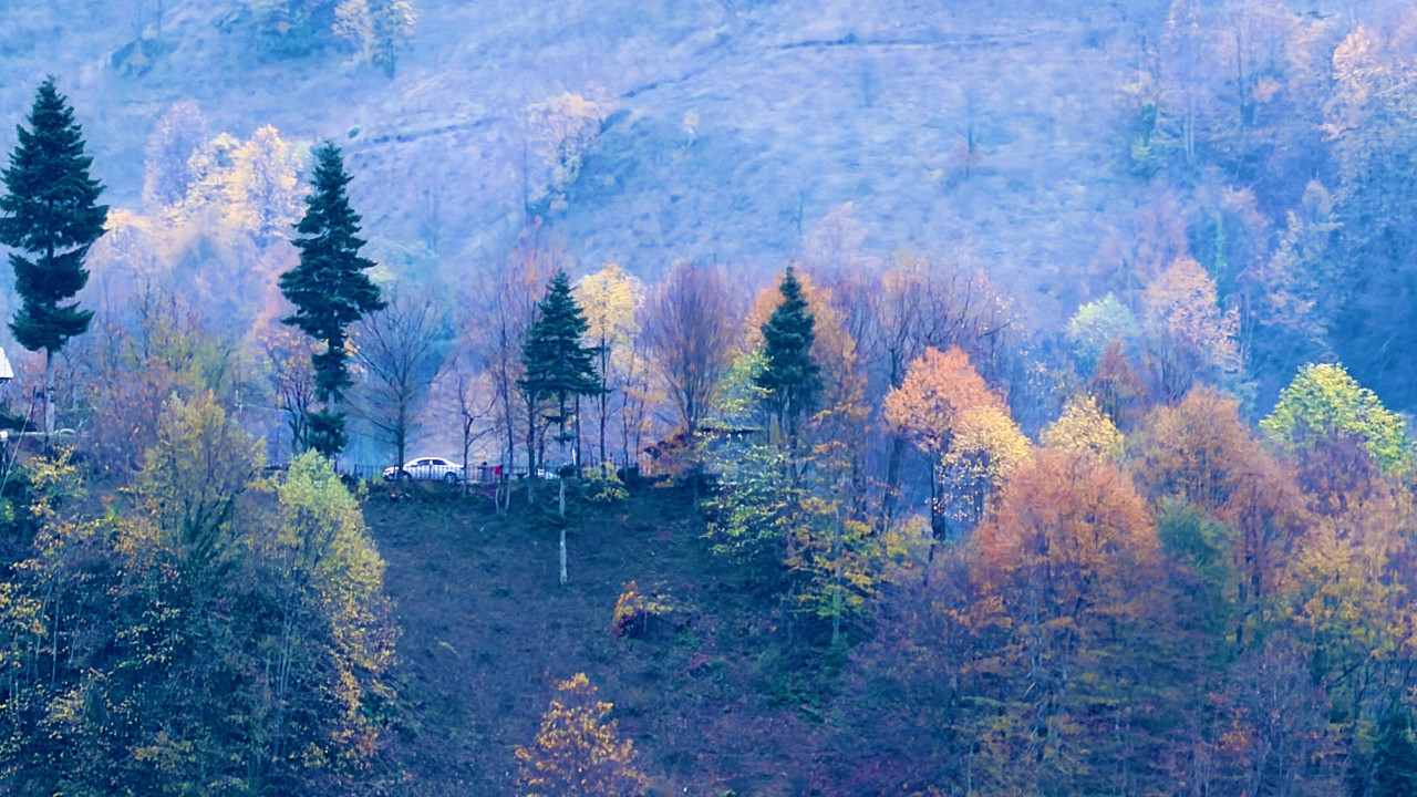Düzce sonbahar renklerine büründü