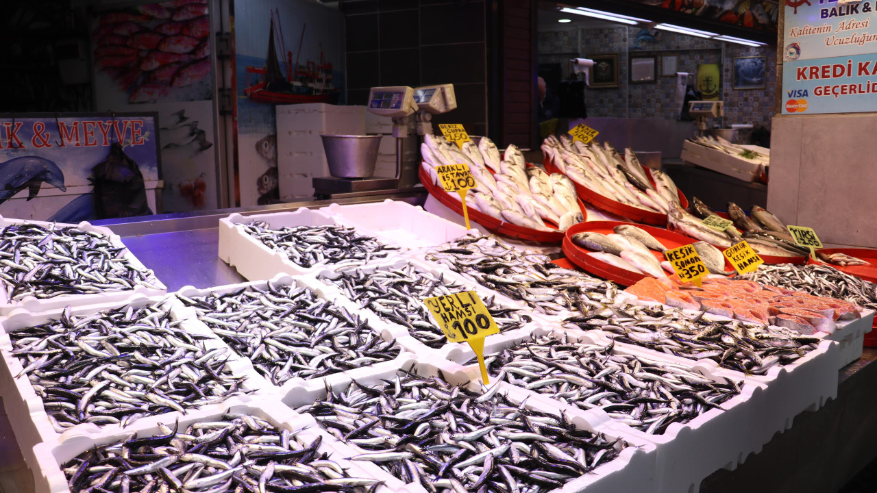 Trabzon'da hamsinin kilogramı 100 liraya yükseldi