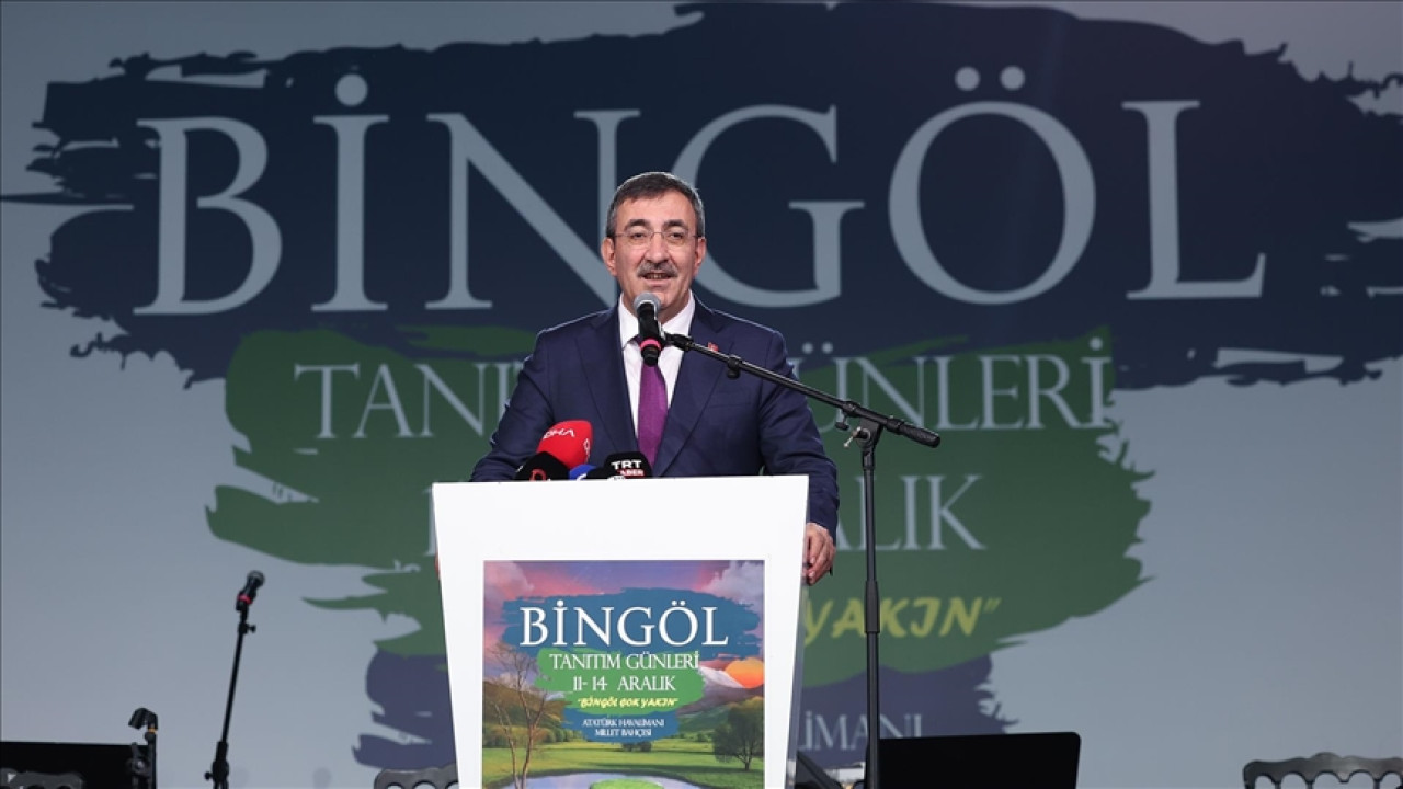 Cumhurbaşkanı Yardımcısı Yılmaz: Biz hem 'Terörsüz Türkiye' hem 'Terörsüz Bölge' diyoruz