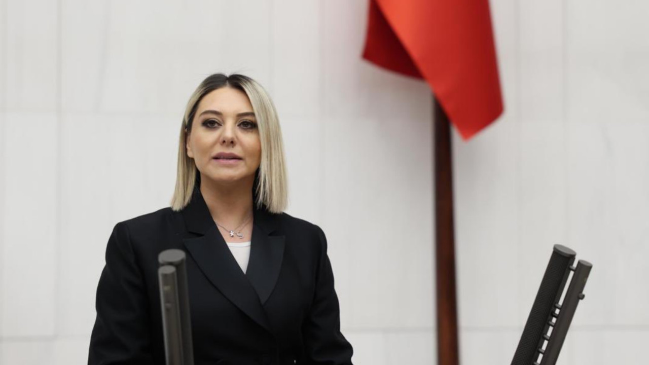 AK Parti'li Ekmekci'den CHP'li vekilin sözlerine tepki: Asla izah ve kabul edilebilir değil