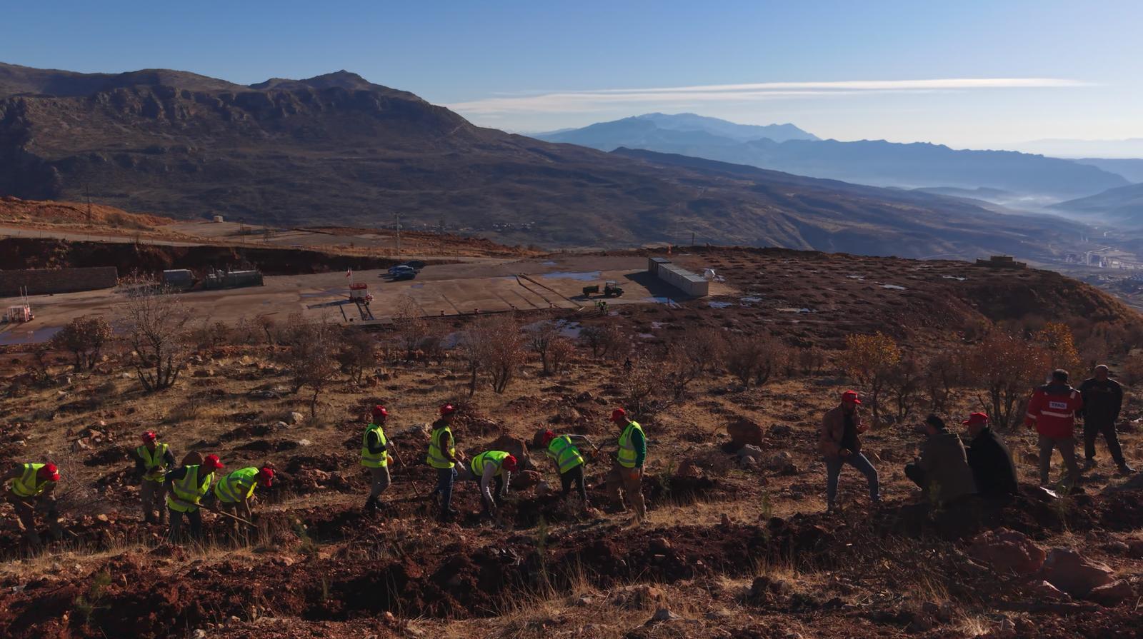 Enerji ve Tabii Kaynaklar Bakanlığı, Şırnak Gabar'da fidan dikim seferberliği başlattı