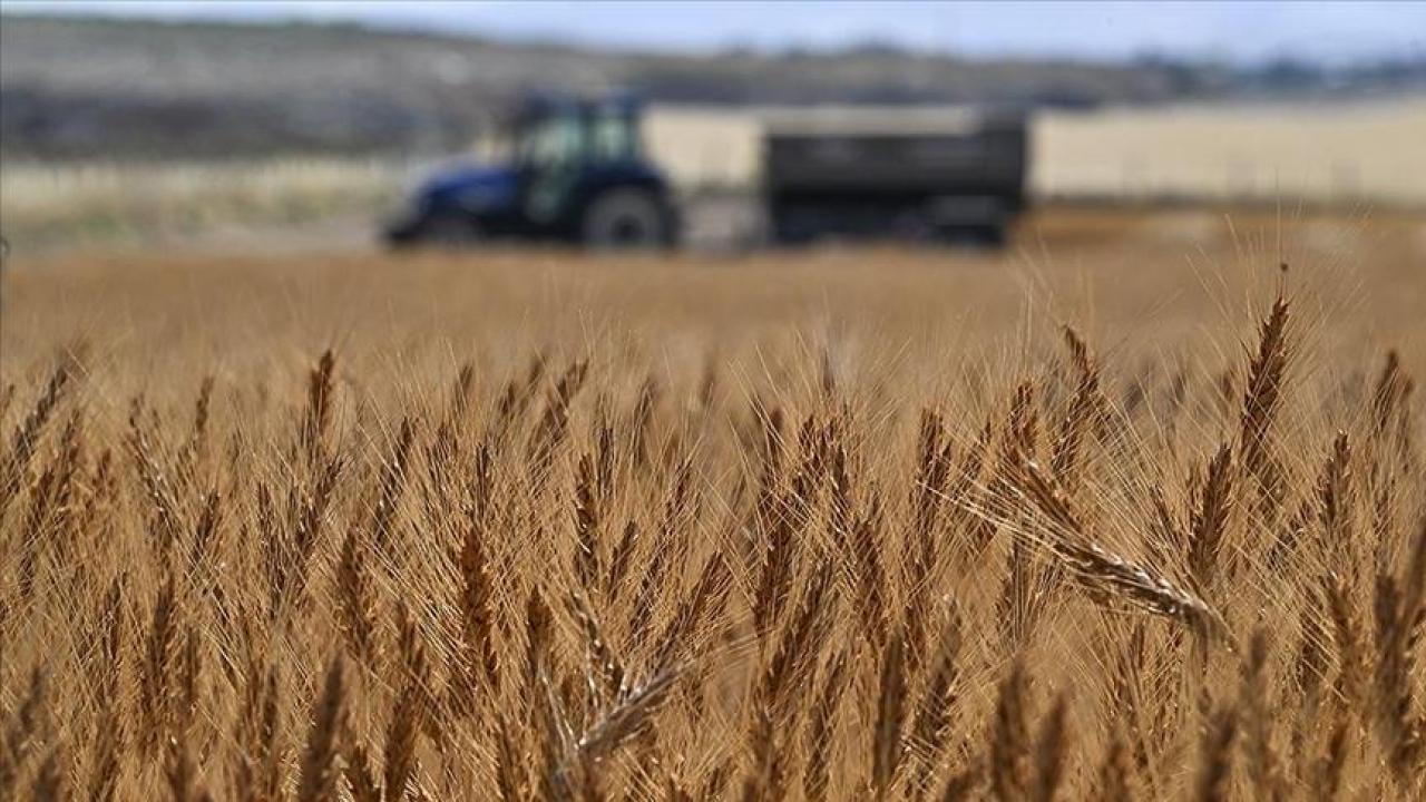 Tarımsal girdi fiyat endeksi ekimde yıllık yüzde 33,66, aylık yüzde 2,04 arttı