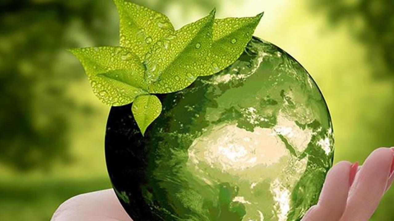 Sıfır Atık Vakfının hazırladığı "Sıfır Atık Ansiklopedisi" erişime açıldı