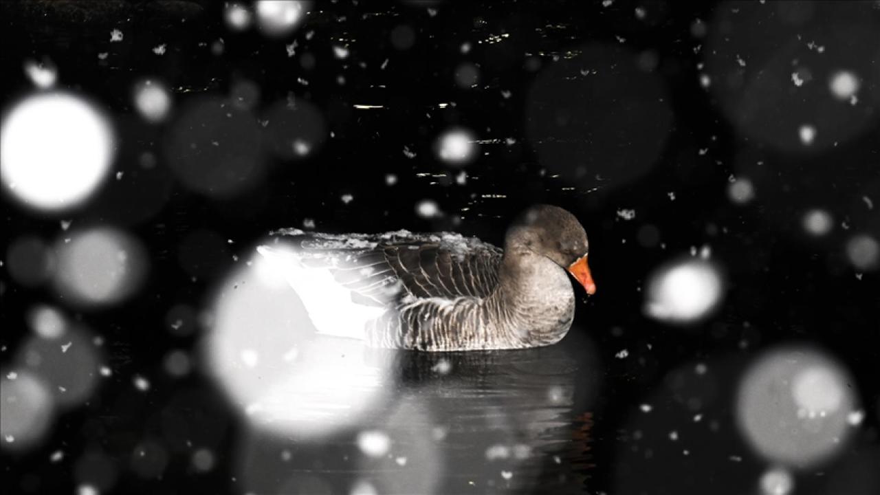Ankara'nın yüksek kesimlerinde kar yağışı etkili oldu