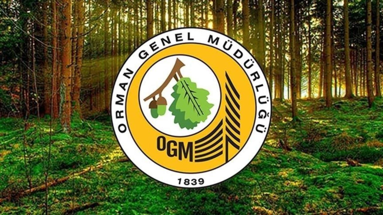 Orman Genel Müdürlüğü 26 işçi istihdam edecek