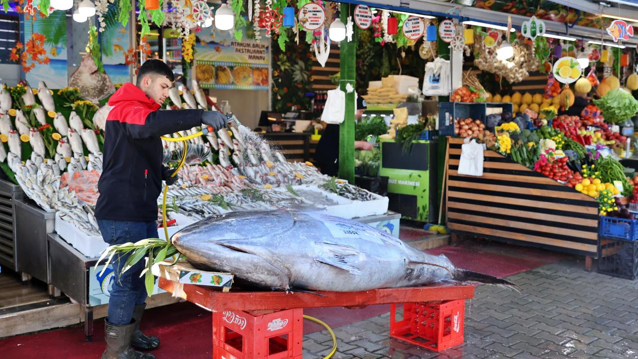 Samsun'da 353 kilogramlık orkinos 400 liradan satışa sunuldu
