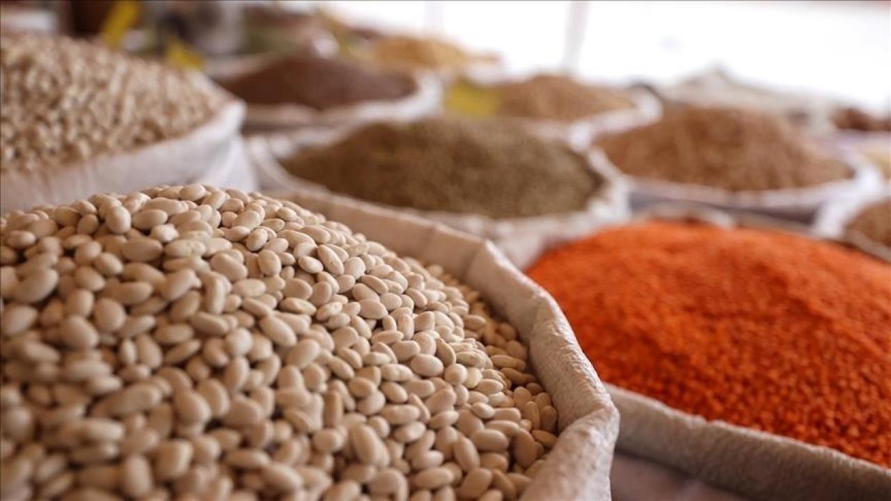 Tarım, gıda ve içecek sektöründen 2025'in 11 ayında 24,79 milyar dolarlık ihracat