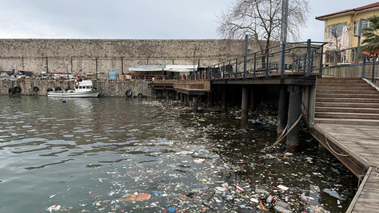 Zonguldak ve Sakarya'da kuvvetli rüzgar hayatı olumsuz etkiledi