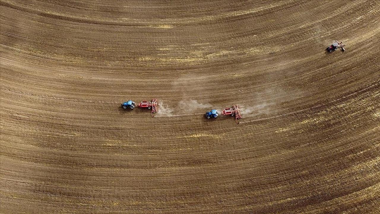 Tarım sayımının yüzde 90'ı tamamlandı, sonuçlar yılın ikinci yarısında açıklanacak