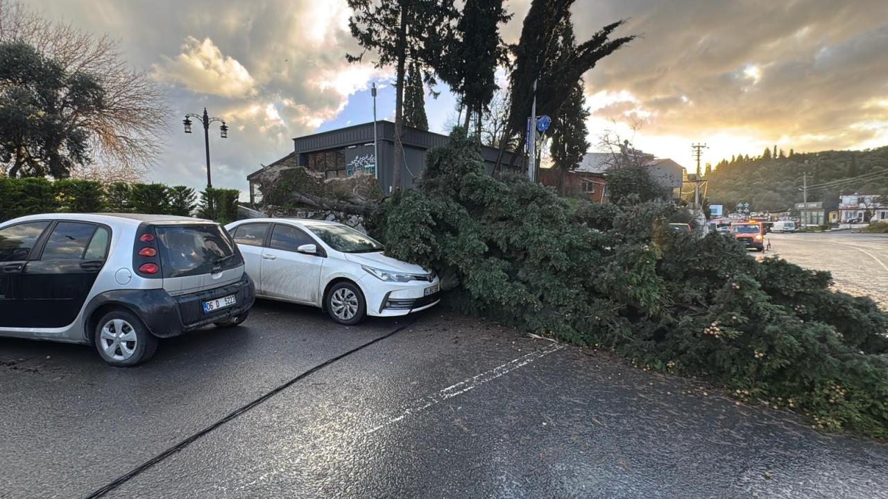 Kocaeli'de etkili olan şiddetli rüzgar hayatı olumsuz etkiliyor