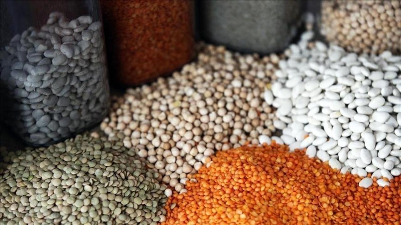 Türkiye'nin hububat ihracatı geçen yıl 12,3 milyar doları aştı