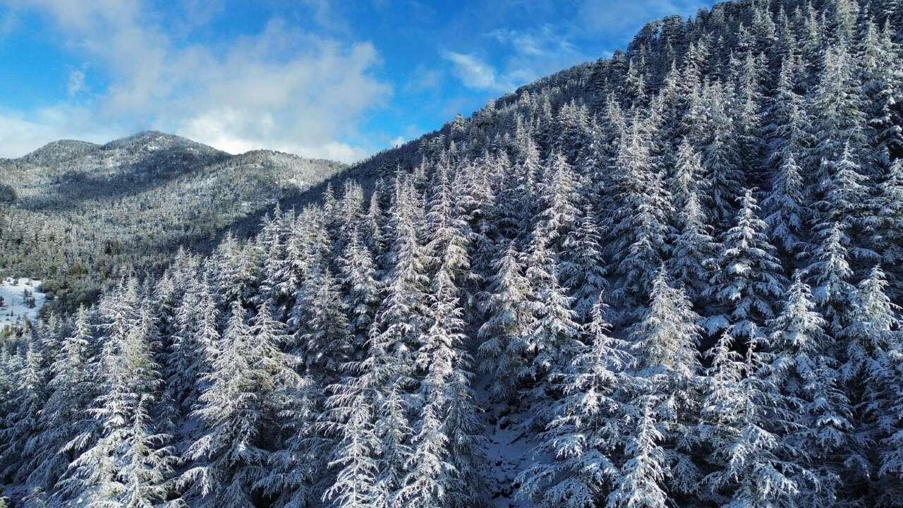 Kaş’ta alışılmadık manzara: Ormanlar kış manzarası sundu