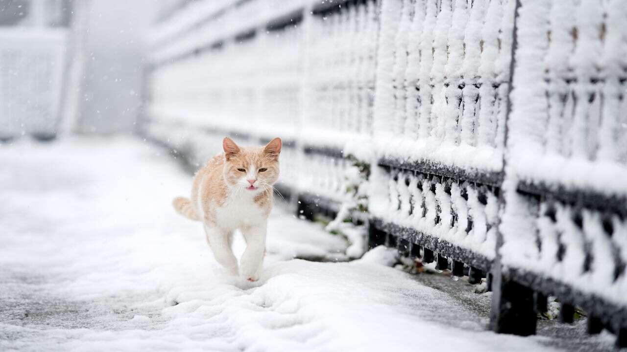 İstanbul'da kar etkili oldu: İşte manzaralar
