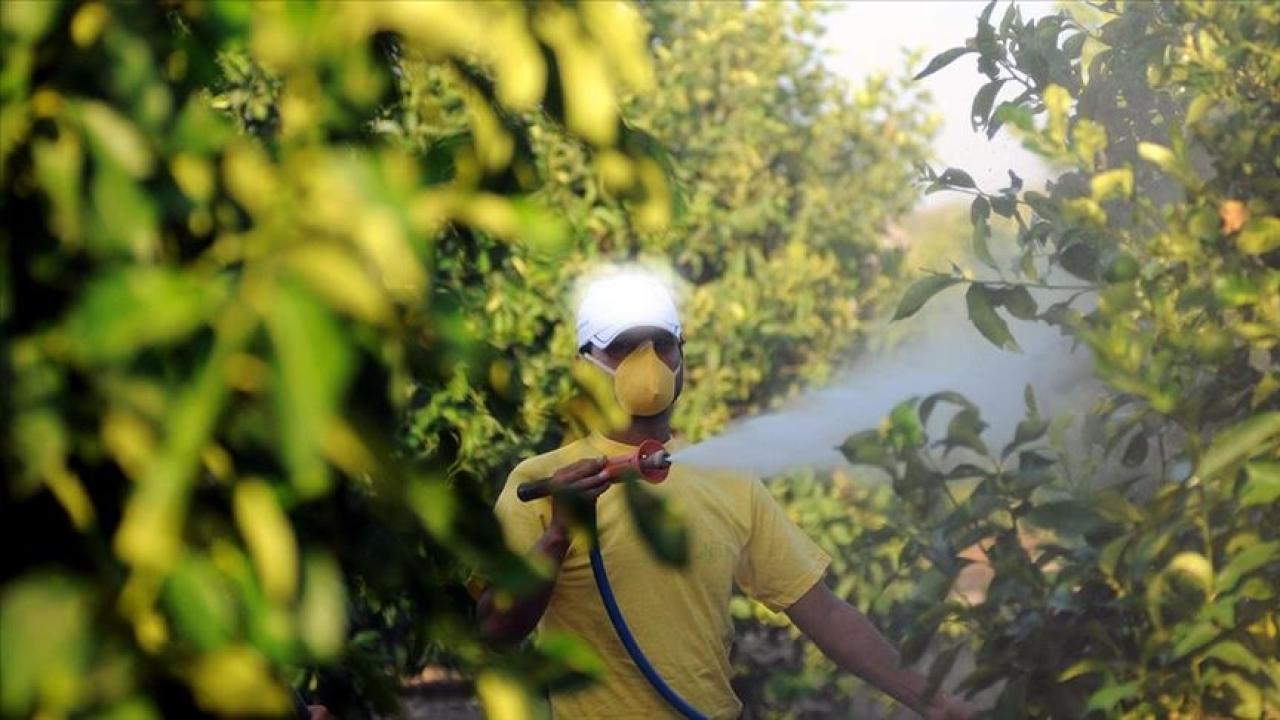 5 soruda tarımda "B-Reçete" uygulaması