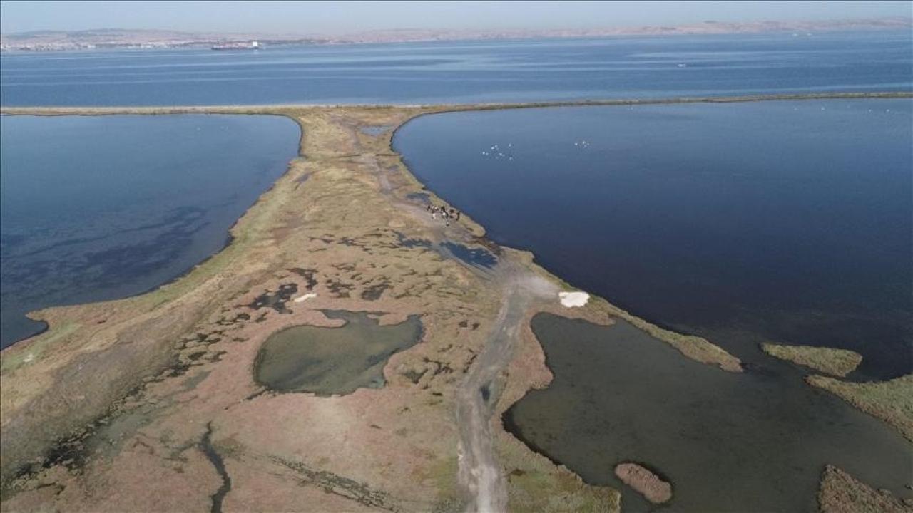 Dünya genelinde süren sulak alan kaybı, küresel ekonomiyi tehdit ediyor