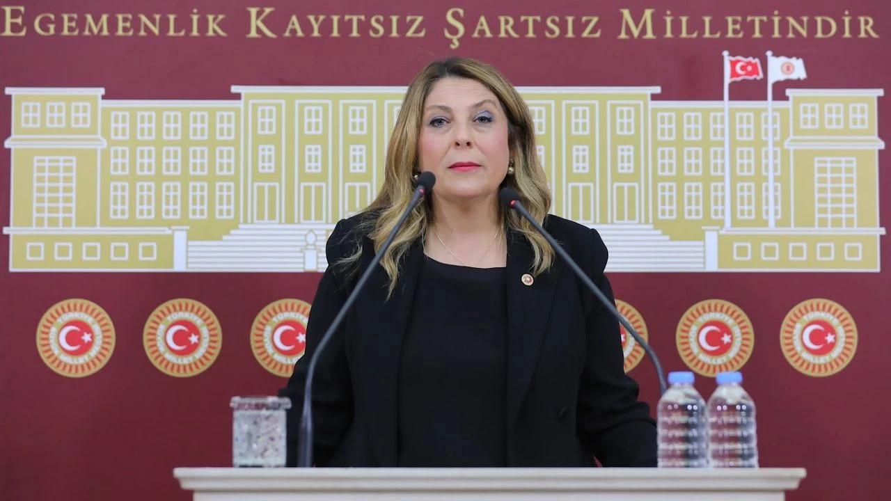 CHP'li Elvan Işık Gezmiş'ten ilaç tedarikinde "yerli ve yeni ilaç sanayi" önerisi