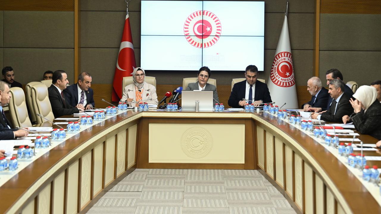 TBMM İnsan Haklarını İnceleme Komisyonu toplandı