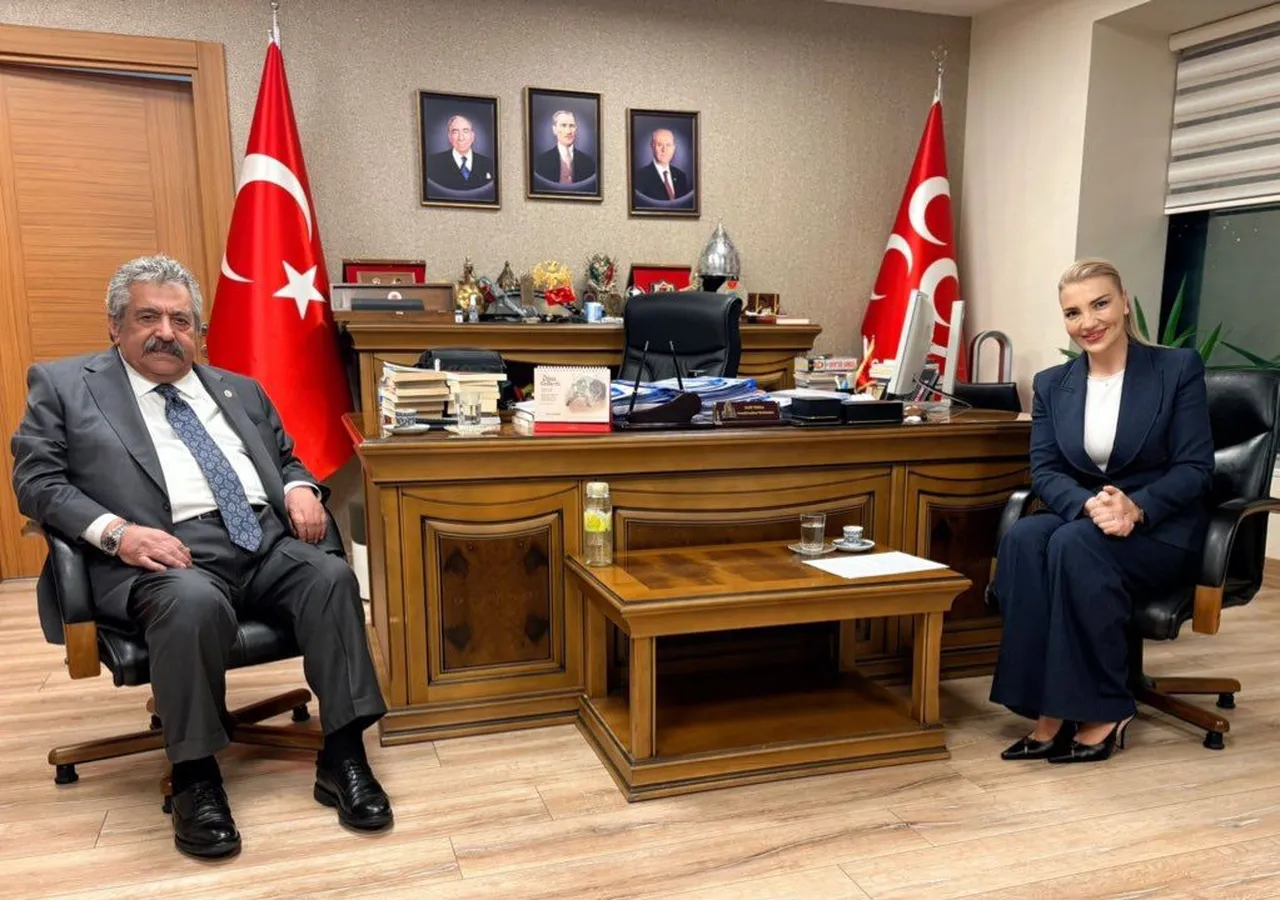 MHP Genel Başkan Yardımcısı Yıldız, Türkiye Gazetesi'nden Nur Tuğba Aktay'a görüşmenin bazı detaylarını aktardı