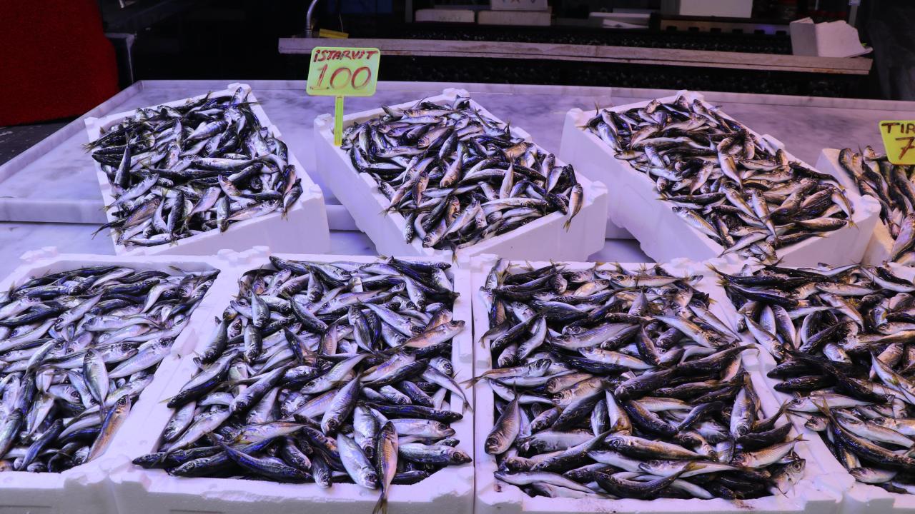 Rize'de istavritin kilogramı 100 liradan satışa sunuldu