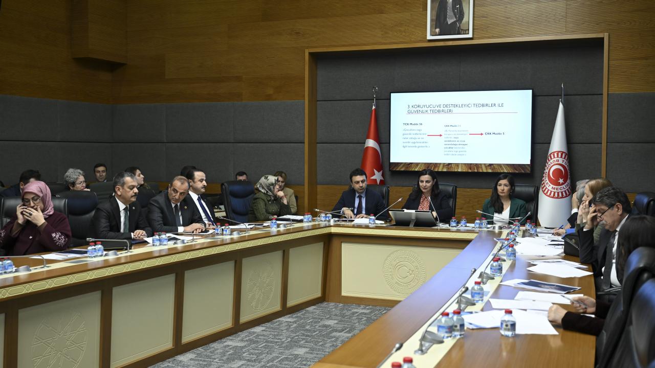 TBMM Suça Sürüklenen Çocuklara İlişkin Araştırma Komisyonu toplandı