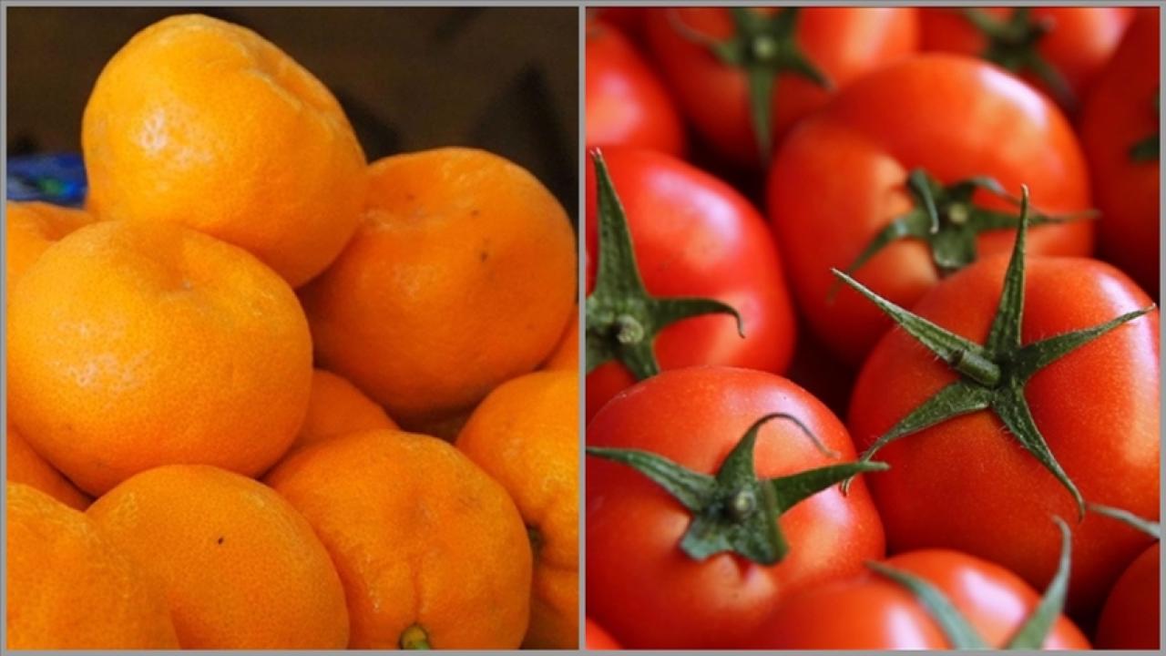 İstanbul'da ocakta en çok mandalina ve domates tüketildi