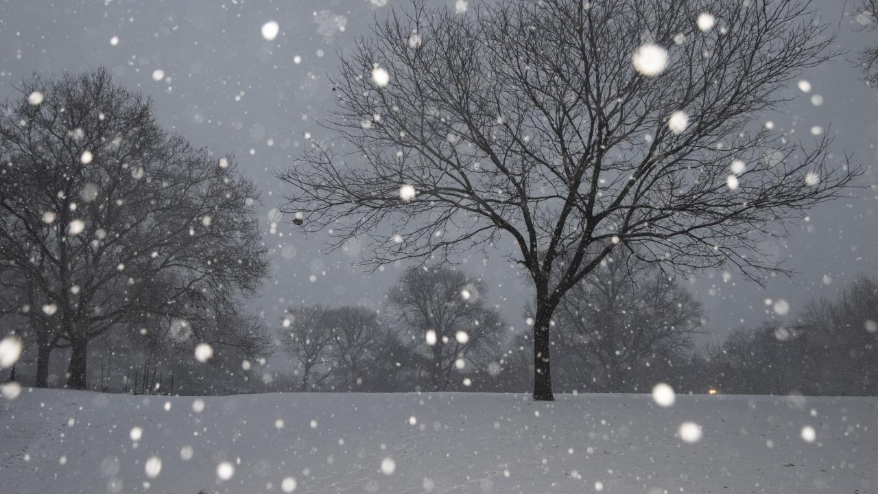 ABD'nin kuzeydoğu eyaletlerinde yeni bir kar fırtınası bekleniyor