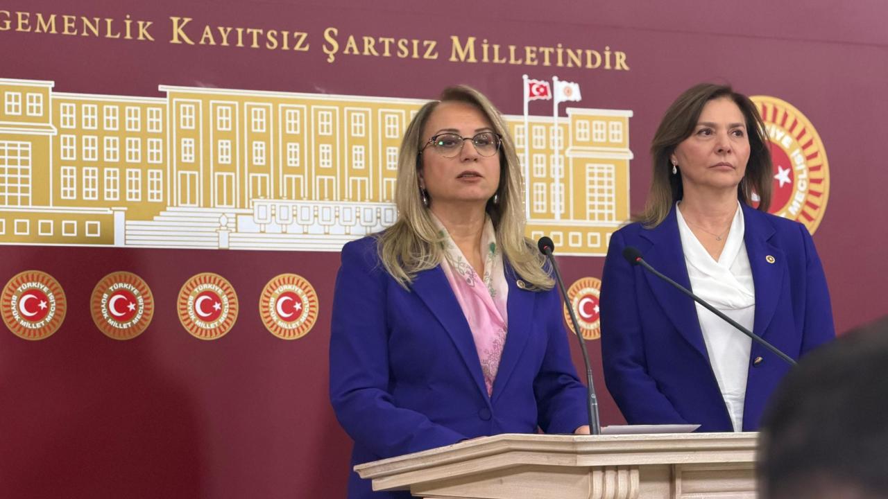 MHP'li Kılıç ve Ersoy'dan Dünya Kadınlar Günü mesajı