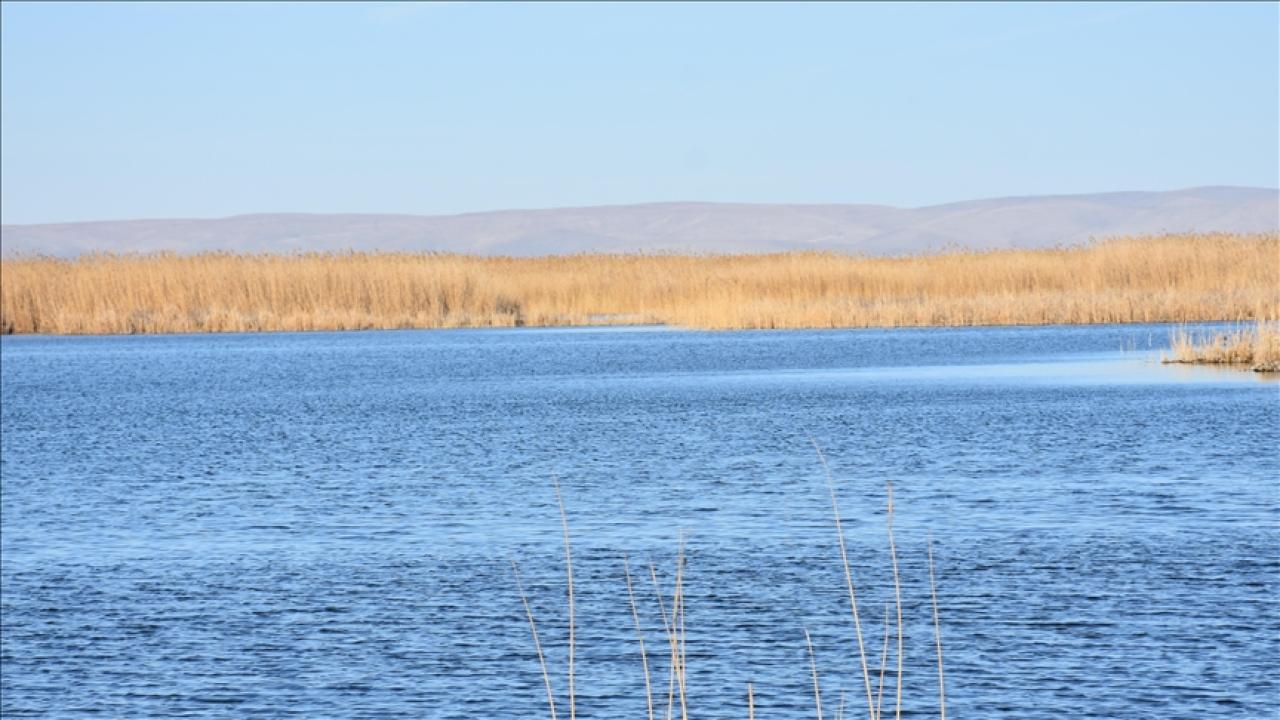 Sıfır Atık Vakfı, Eber Gölü için hazırlanacak eylem planına katkı sağlayacak