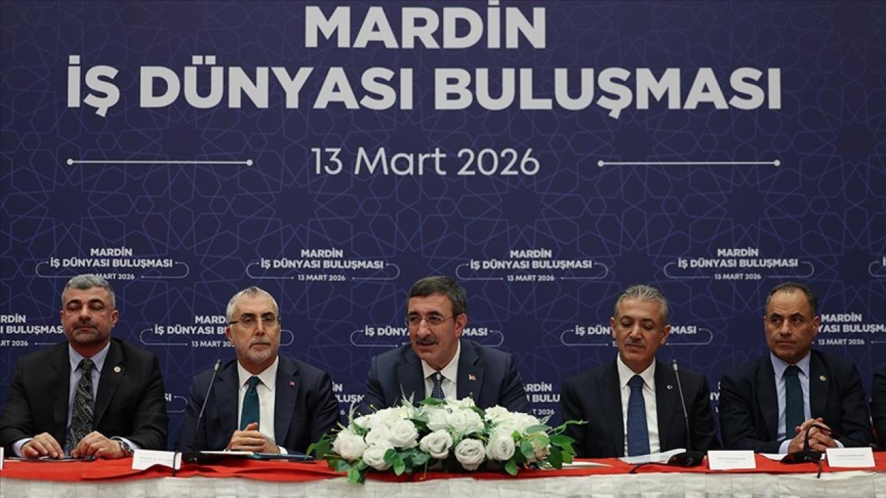 Cumhurbaşkanı Yardımcısı Yılmaz: Doğu ve Güneydoğu'da son 23 yılda çok büyük yatırımlar yaptık
