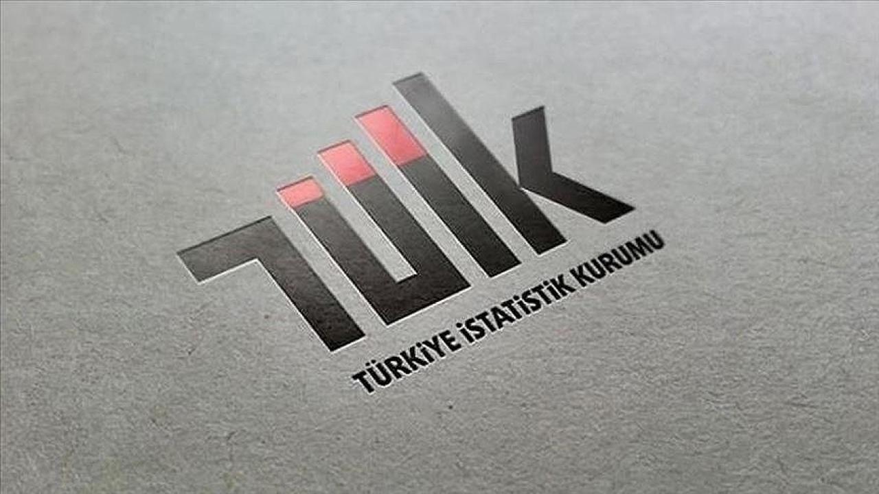 TÜİK, altın ve enerji hariç dış ticaret endekslerini yayımlayacak