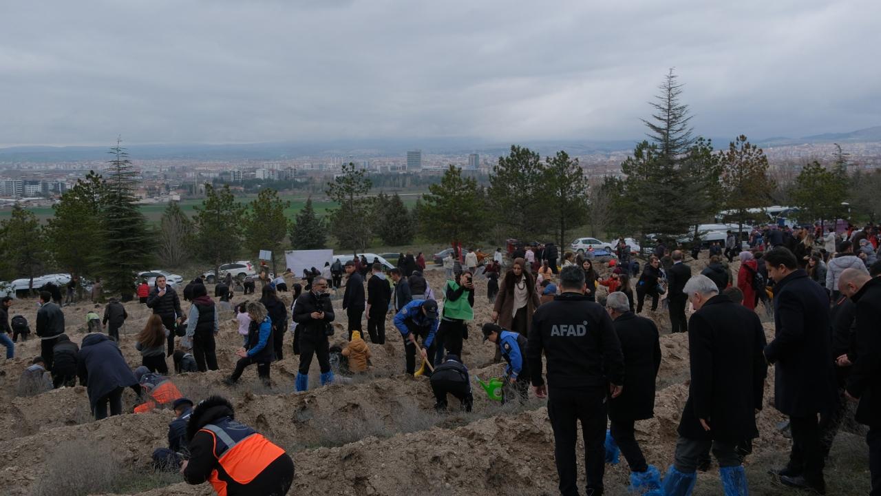 Çorum'da "Türkiye'nin Gücü Orman" etkinliğinde 2 bin fidan toprakla buluşturuldu