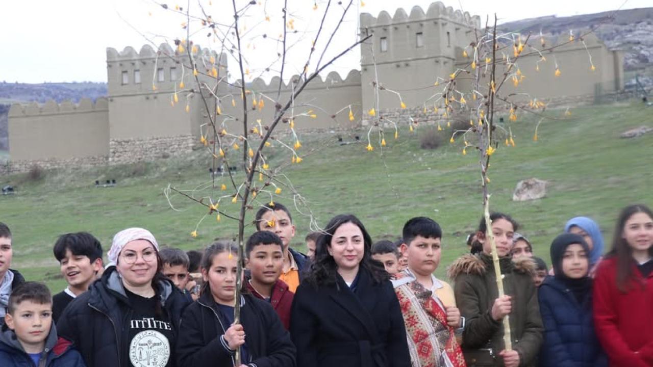 Çorum'da Hititlerden kaldığı düşünülen "Çiğdem Gezmesi" etkinliği düzenlendi