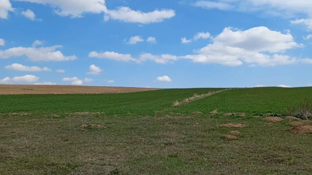 Mera Arazisine Ekim Yapıldı, Kaymakamlık Devreye Girdi