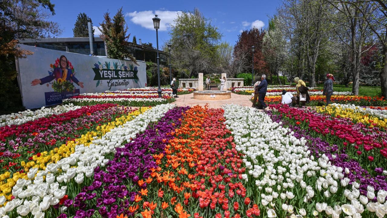 Gaziantep Botanik Bahçesi'nde ilkbahar renkleri hakim oldu