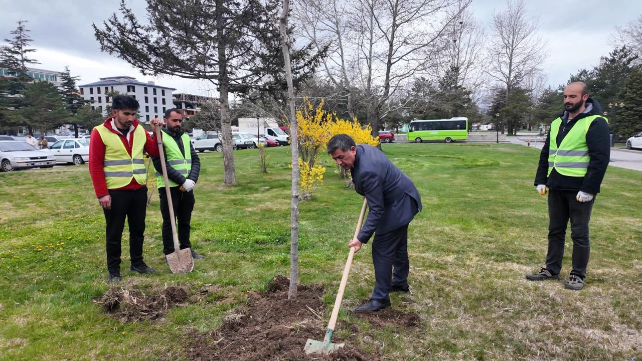 Erzincan'da okul saldırısında hayatını kaybedenler anısına "masumiyet çınarı" dikildi