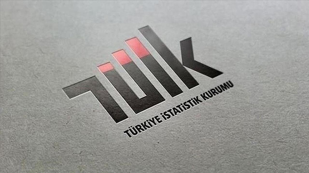 TÜİK mart ayı dış ticaret endekslerini açıkladı
